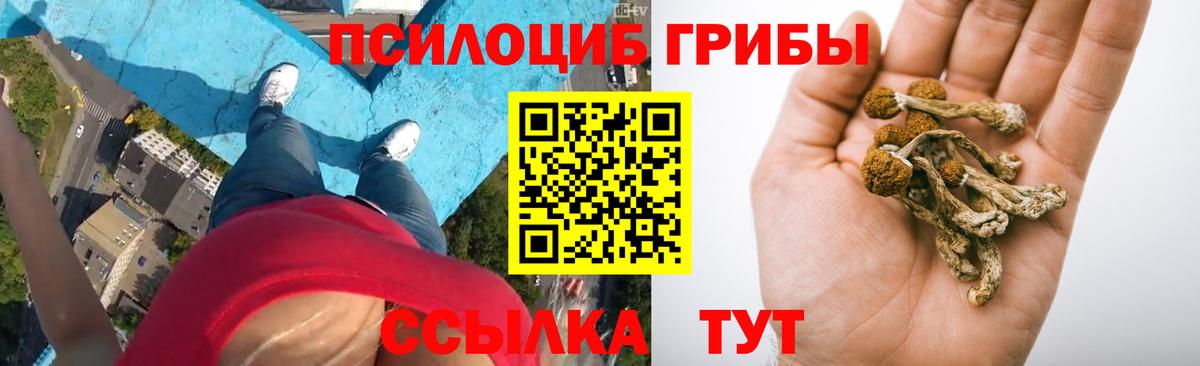 Галлюциногенные грибы мухоморы Междуреченск